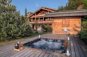 Chalet Dragon WELLNESS & LUXURY 12 pers